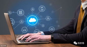 深度解讀 大數(shù)據(jù)在農(nóng)業(yè)領(lǐng)域的具體應(yīng)用有哪些